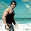 Shane