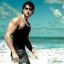 Shane