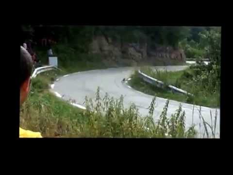 Заяц гониться за Renault Clio RS